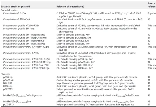 TABLE 1 Bacterial strains and plasmids used in this study