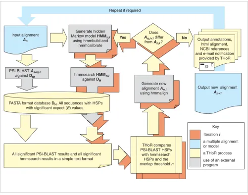 Figure 1Flow diagram that illustrates the procedures used by THoR