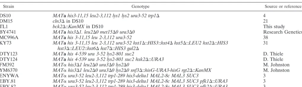 TABLE 1. S. cerevisiae strains