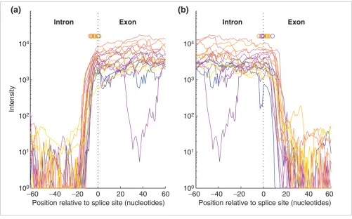 Figure 3represents a single exonProbe-intensity profiles for intron-exon boundaries (edges) of the 27 RB1 exons using 35-nucleotide probes and 30% formamide, where each color 