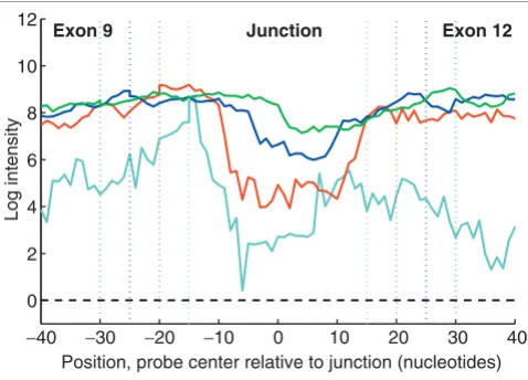 Figure 7Dependence of negative discrimination on junction probe length