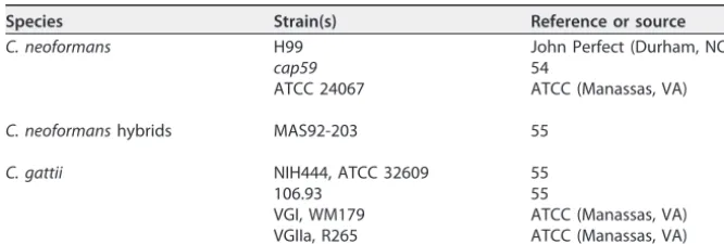 TABLE 1 List of C. neoformans and C. gattii strains used
