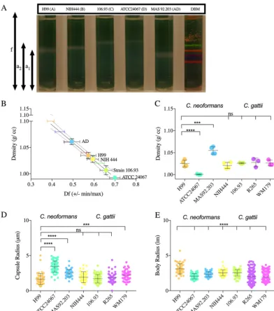 FIG 1 The cell density ofexperiment was performed 3 to 4 times, as indicated by the symbols on the bar graph