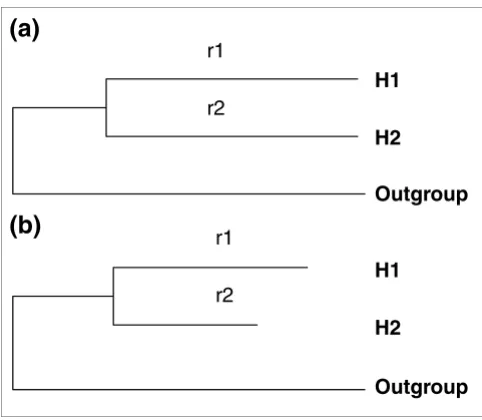 Figure 1Two models of protein sequence evolutiondifferent. H1 and H2: two human duplicate genes