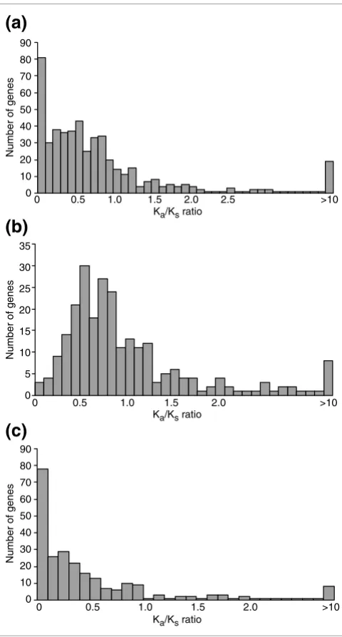 Figure 4 with a chi-square test (χ2 = 12.78, df = 1, p < 0.01)shows that fast-evolving duplicates have a significantly higherproportion of sequences with an even substitution pattern.This finding suggests that most of the fast-evolving copieshave more rela