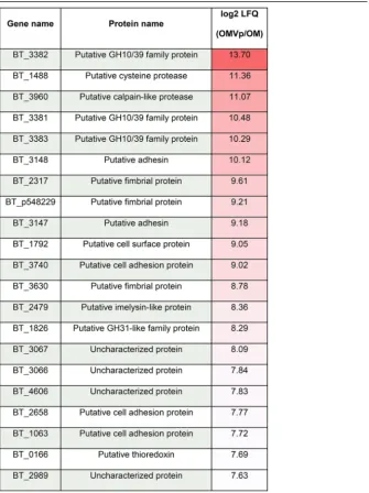 TABLE 1 Top 20 most OMVp-enriched proteins, including protein name and enrichmentvaluea