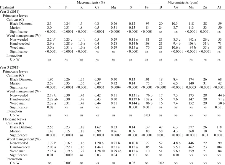 Fig. 2. Effects of three different weed management strategies on leaf boron (B) concentration in the floricanes during the first year of fruit production (Year 3) in ‘Black Diamond’ and ‘Marion’ blackberry