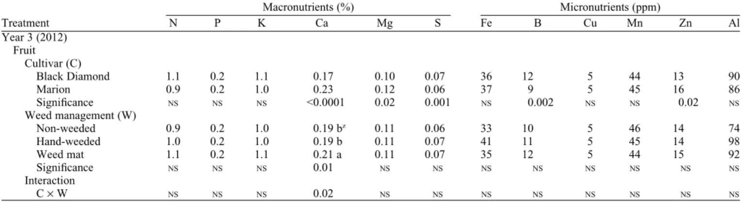 Fig. 4. Effects of three different weed management strategies on fruit calcium (Ca) concentration during the first year of fruit production (Year 3) in ‘Black Diamond’ and ‘Marion’ blackberry
