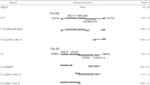 TABLE 3. Genetic interactions between GID8 and DCR2