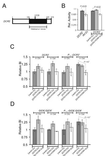 FIG. 6. Dcr2p might function as a phosphoesterase. (A) DCR2(domain. Numbers indicate amino acid positions of the predicted Dcr2p polypeptide