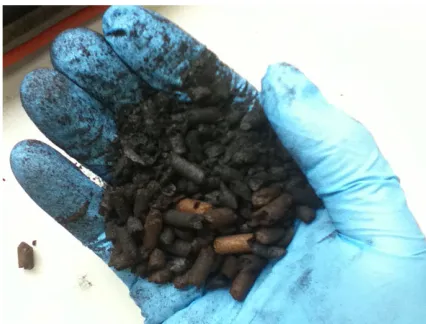 Figure 7. Torrefied pellet extracted from the combustion zone of Power Pallet gasifier after failed experimental run.