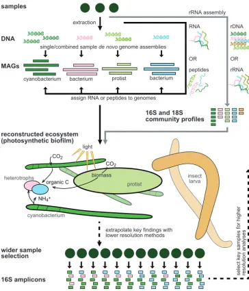 FIG 1 Schematic illustrating ecosystem reconstruction using functional genomics.