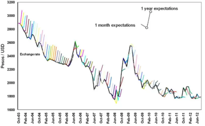 Fig. 2 Twist in Exchange Rate Expectations