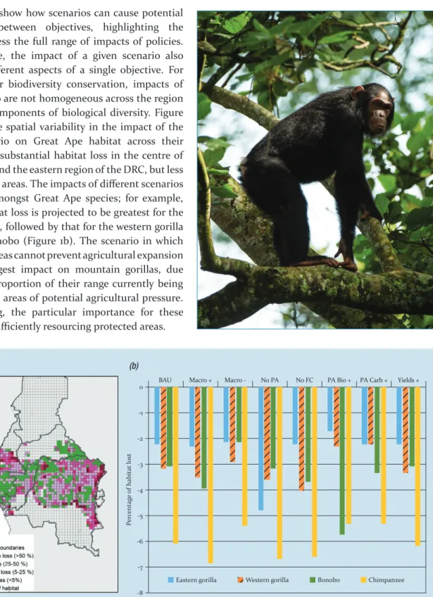 Figure 1. Habitat loss for Great Apes according to each scenario evaluated using the GLOBIOM-Congo Basin model:  