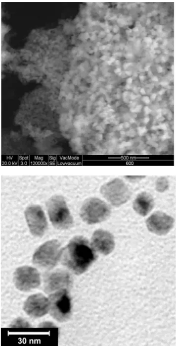 Fig. 6 shows the SEM and TEM of PZT-NPs. After 