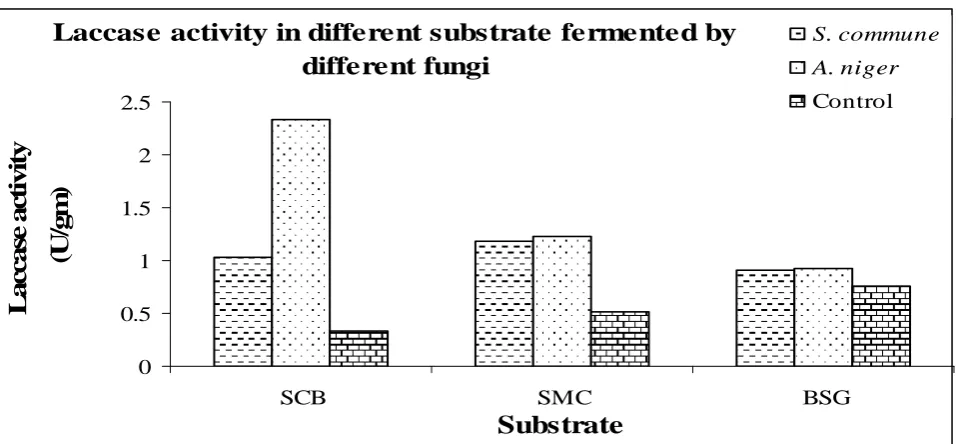 Figure 1: Laccase activity of enzyme extracts from different substrate fermented by S