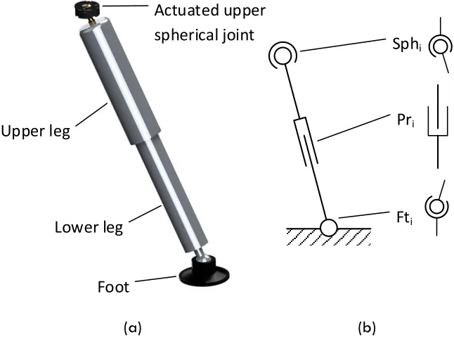 Figure 5: Concept 1: FreeHex leg with Actuated Hip Joint impression (a) and general layout (b) 