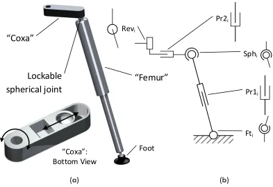 Figure 6: Concept 2: Leg design with inclusion of a femur arrangement impression (a) and general layout (b) 