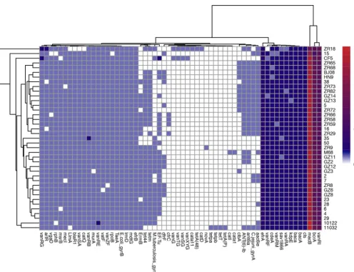 FIG 6 Antibiotic resistance genes of 37 C. difﬁcile isolates predicted through comparison with the CARD and ARDB databases