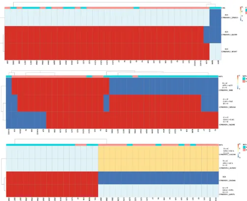 FIG 8 Heatmap of point mutations associated with drug resistance among all 37shown on the right vertical axes