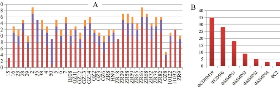 FIG 4 Prophage analysis of 37 C. difﬁcile isolates from clade 4. (A) Details of the prophages in each isolate