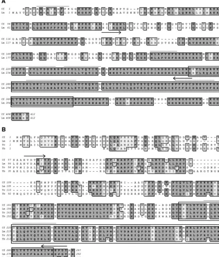 FIG. 1. Comparison of predicted amino acid sequences of proteins associated with CrithidiaClustalW alignment