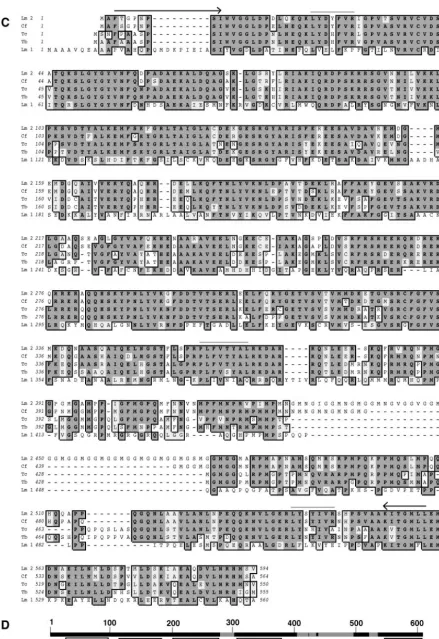 FIG. 1—Continued.