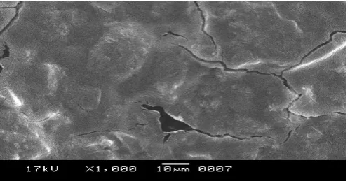 Figure 6.9.(a) The surface morphology of sample at 0 minutes. 