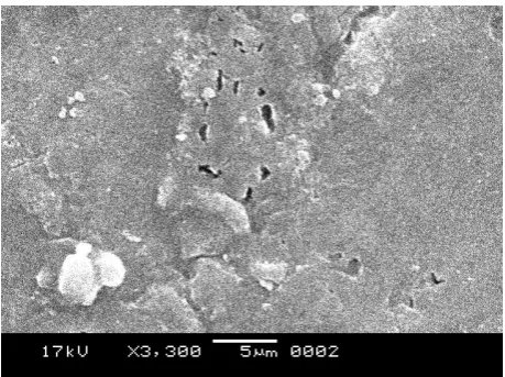 Figure 6.9.(d) The surface morphology of sample at 30 minutes. 