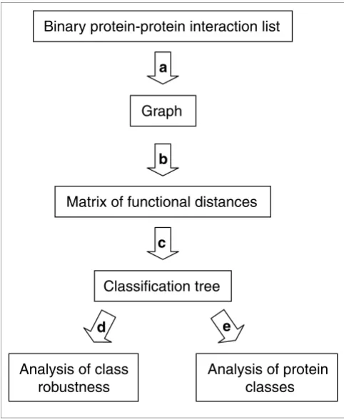 Figure 1Flowchart of PRODISTINprotein-protein interactions. identity of the shared interactors is calculated among all proteins