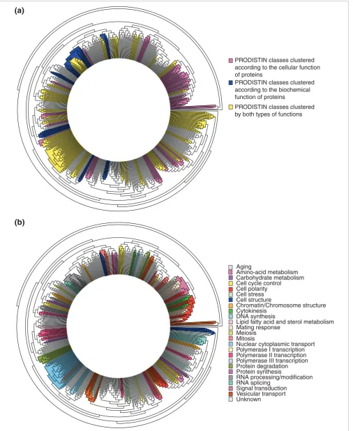 Figure 2 (see legend on previous page)