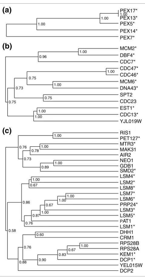 Figure 3Examples of PRODISTIN classesExamples of PRODISTIN classes. (a) Class 21 'lipid and fatty acid metabolism/protein translocation'