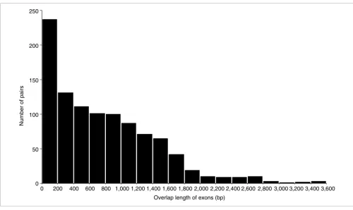 Figure 2Distribution of overlap lengths of exons in sense-antisense transcript pairs
