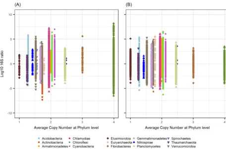 FIG 3 16S rRNA/rRNA gene ratio as a function of the average 16S operon copy number for the presented phyla detected in corn rhizosphere(A) and bean-associated soil (B), as determined by the Ribosomal RNA Database (rrnDB)