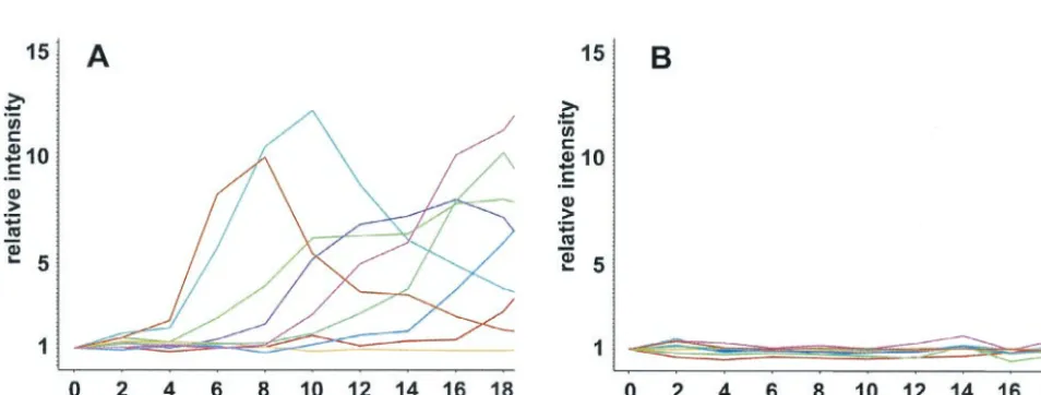 FIG. 2. Expression of developmentally regulated genes in the cbfAJH.D were washed free of medium and spread on black ﬁlters at 5the samples, and 40am mutant JH.D developed on solid support