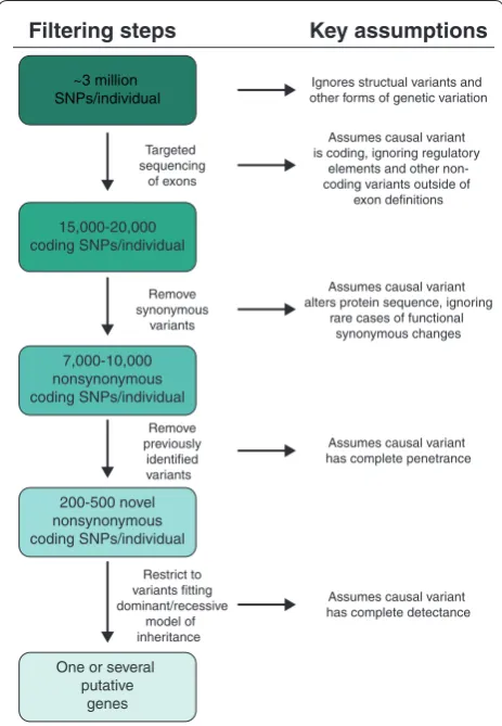 Figure 1. Typical heuristic filtering applied to exome sequencing projects aimed at novel gene discovery for Mendelian disorders, along with key assumptions at each step
