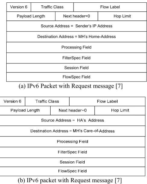 Figure 7: IPv6 packets with Request message 