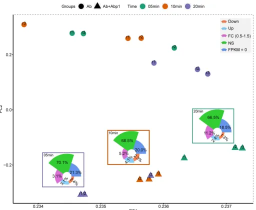 FIG 3PCA plot of the expression of AB1 genes. The principal-component analysis was performed according to the expression levels of AB1 genes inphage-infected groups (Ab�Abp1) and phage-free groups (Ab)