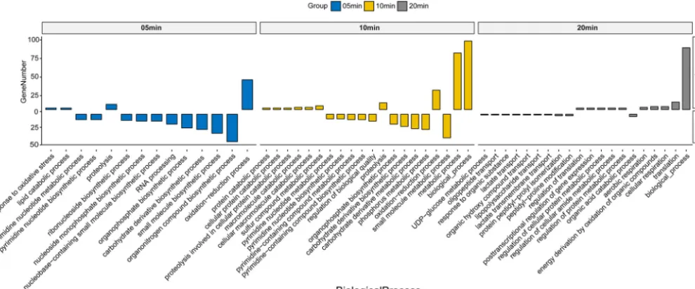 FIG 4 GO analysis for the biological processes of host DEGs (up- and downregulated genes)