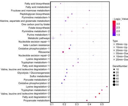 FIG 5 KEGG categories of host DEGs (up- and downregulated genes) enriched at selected points afterpoint indicates the time points