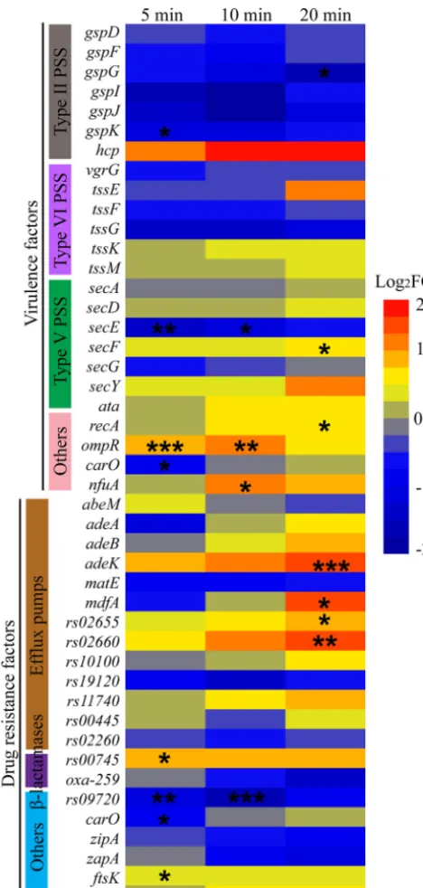 FIG 7 Expression of AB1 genes related to virulence and drug resistance after phage infection