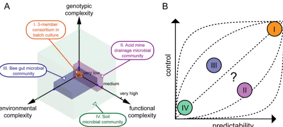 FIG 1 Dimensions of complexity in microbial communities. (A) We deﬁne three interdependent axes of complexity