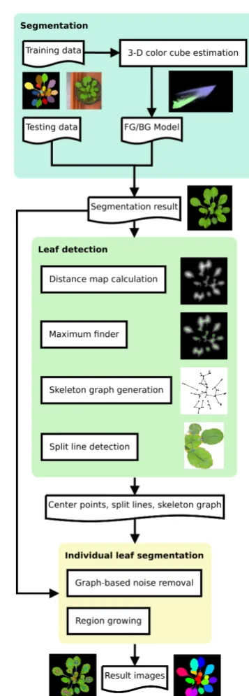 Fig. 3: Workﬂow of the IPK approach, including mainprocessing components: segmentation, image feature ex-traction (including leaf detection) and individual leafsegmentation.