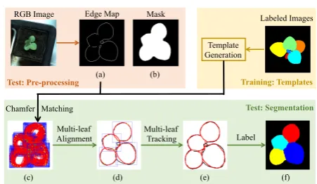 Fig. 6: Overview of the MSU approach: training is doneonce for each plant type (i.e., twice for three datasets),and pre-processing and segmentation are performed foreach image.