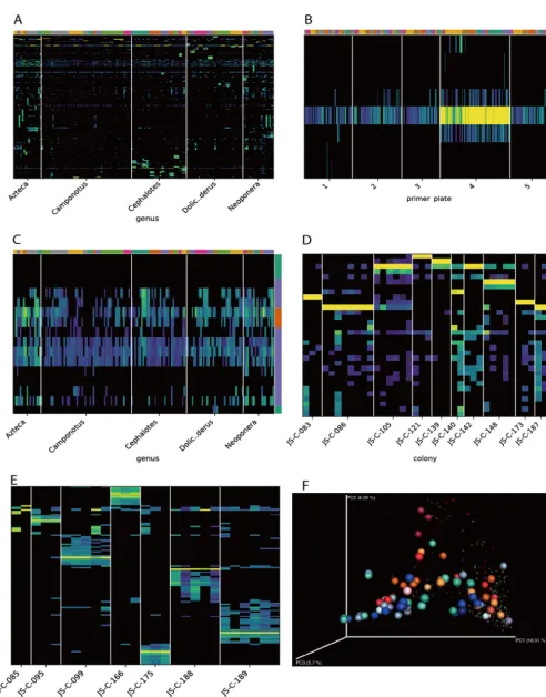 FIG 4 Analyses of low-biomass ant gut microbiota. (A) Distribution of sOTUs across samples sorted by ant genus and colony