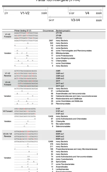 FIG 6 Sequence variation of 16S rRNA gene primer-binding sites. (A) Schematic of the 16S rRNA gene regions and primerpairs