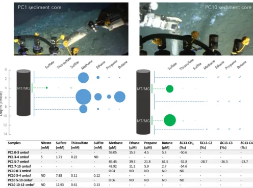 FIG 1Pictures of the study sites with geochemical characterization of sediment samples