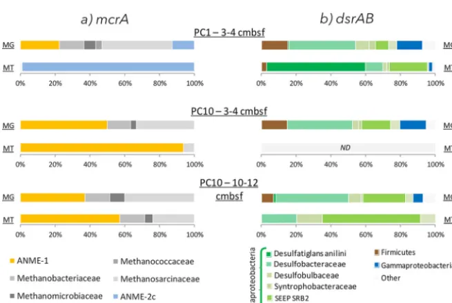 FIG 2 Taxonomic afﬁliation of 16S rRNA genes (MG) and transcripts (MT) in PC1 and PC10 sediment samples