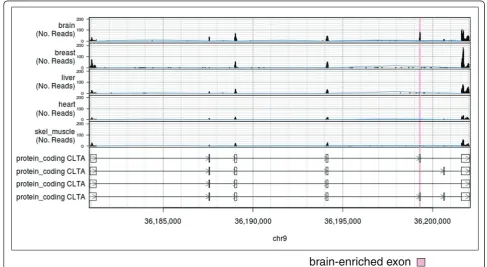 Figure 5 Screen shot of ExpressionPlot’s genome browser seqview. The region of the CLTA gene, which contains a brain-enriched exon(pink), is shown
