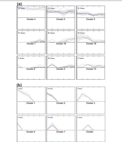 Figure 2 Representive clusters of kn-miRs and nov-miRs by K-means support. (a) Kn-miRs; (b) nov-miRs